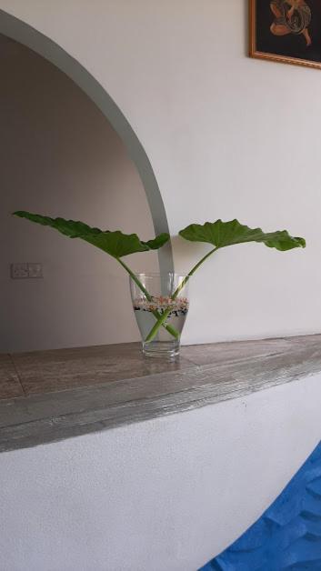 Akurala Beach Boutique Resort Екстериор снимка