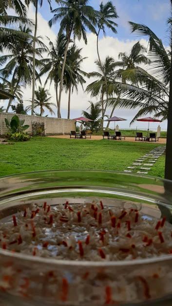 Akurala Beach Boutique Resort Екстериор снимка